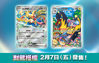 擴充包 對戰搭檔